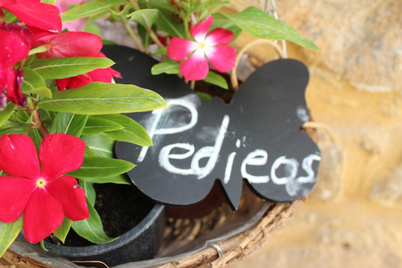 Pedieos Guest House Nicosia Eksteriør billede